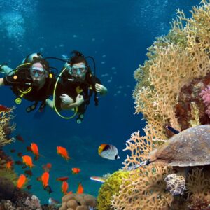 Alanya Dalış Turu - Scuba Diving
